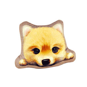 Özelleştirilmiş 3D dolması hayvan <span class=keywords><strong>Pet</strong></span> özel peluş yastık oyuncaklar reklam hediye peluş bebek özel köpek kedi yastıklar oyuncaklar - Product Image 6