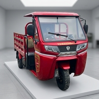 Kargo Motorlu Üç Tekerlekli Bisiklet Kitleri Fabrika Satışı 3 Tekerlekli D9 Benzinli Üç Tekerlekli Bisiklet Bayiler İçin