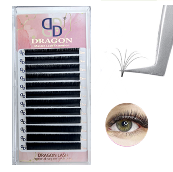 กล่องตัวอย่าง