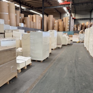 Gobelet en papier écologique recyclable en feuille 150-320 GSM, enduit PE double face, haute rigidité, pour la fabrication de gobelets en papier jetables - Product Image 3