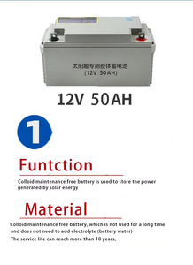 Incubadora Solar Directa de Fábrica, Incubadora Solar para Cría, Capacidad para 1056 Huevos - Product Image 4