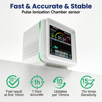 Moniteur de qualité de l'air intérieur, détecteur de radon, capteur à chambre d'ionisation pulsée, haute précision, 10 minutes pour les premiers résultats