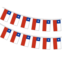Drapeaux à cordes d'Azerbaïdjan de haute qualité, fanions en polyester 100D, guirlande de drapeaux nationaux