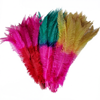 50cm Nandu plumes d'autruche pour fête maison mariage Vase décor bricolage artisanat Floral chapeau Fascinator chapellerie chapeaux accessoire