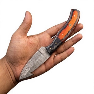 Couteau de survie Rajput DIY à lame fixe Drop Point en acier Damas 20 cm avec manche en bois Pakka bleu pour le camping et la chasse - Product Image 3