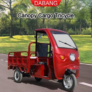 Triciclo Eléctrico de Carga con Diseño Personalizado <span class=keywords><strong>E</strong></span> Electro Farm, con Caja de Carga, Cinco Ruedas y Techo Comercial - Product Image 2