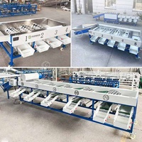 Machine automatique de calibrage et de tri des fruits et légumes (mangues, dattes, cerises, olives, ail) pour la consommation humaine et l'agroalimentaire