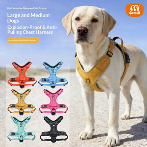 <span class=keywords><strong>Harness</strong></span> Anjing Besar MIDEPET Model Terbaru, Performa Tinggi, Fashionable, Dapat Disesuaikan, Ramah Lingkungan, dan Nyaman - Product Image 1