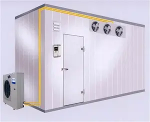 Industrial use polyurethane wall panel for walk in freezer cold room panel with cam lock