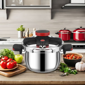 Casserole à pression à <span class=keywords><strong>induction</strong></span> en acier inoxydable DMD 304SS, écologique, <span class=keywords><strong>20</strong></span> <span class=keywords><strong>litres</strong></span>, pour usage domestique, avec support de casserole à verrouillage facile, composite - Product Image 2