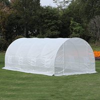 Serre tunnel en plastique pour l'agriculture 6x3x2m