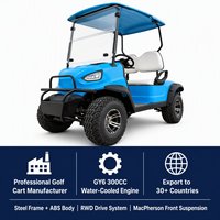 Voiturette de golf à essence 2 places 4 temps GY6 300CC, buggy tout-terrain 2 personnes, couleurs personnalisées OEM, 45 km/h, autonomie 100-120 km