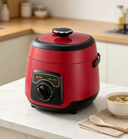 Cuisinière à riz électrique mini automatique 2,5 L 600 W avec fonction maintien au chaud, boîtier en plastique, cuve antiadhésive et fonction minuterie PC50-J