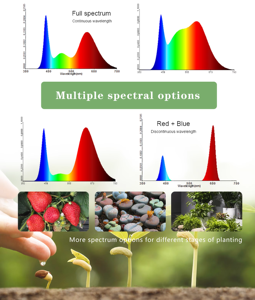 Luces de Cultivo para Plantas de Interior T8 LED de Espectro Completo, Simulación de Luz Solar, Impermeables, para Vegetales, Plántulas y Flores - Product Image 6
