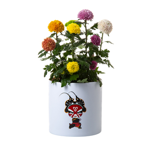 ปรับแต่งรูปแบบ/โลโก้ของคุณจีนดั้งเดิมปักกิ่งโอเปร่าที่กำหนดเองกระถางดอกไม้ชาวไร่ - Product Image 2