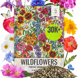 Wild flower Mix im modernen Stil für Teils chatten für den Hausgarten - Product Image 1