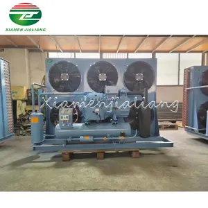 Fornitori cinesi unità di condensazione a bassa temperatura unità di condensazione di scorrimento compressore a bassa temperatura unità di condensazione 15Hp