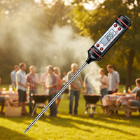 Termometer Dapur Digital Plastik Tahan Air Bertenaga Baterai dengan Rentang -50-300C untuk BBQ dan Penggunaan Daging Rumah Tangga