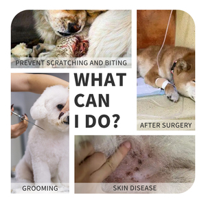 Collar isabelino ecológico moderno de PVC transparente suave ajustable transpirable para gatos y perros recuperación antimordeduras - Product Image 2