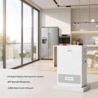 Système de stockage d'énergie domestique mural personnalisé GBP-PRO 45 kg avec batterie au lithium 5/10 kWh 48V/512V LiFePO4 pour stockage d'énergie photovoltaïque