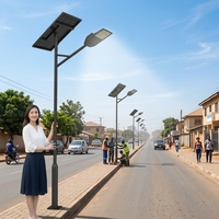 Lampe solaire intégrée 80W LED IP66 étanche, batterie LiFePO4, panneau solaire monocristallin, contrôleur MPPT, 15200 lumens