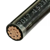 Cable Eléctrico de Cobre Puro de un Solo Núcleo, 600v, 750 Mcm, 500mcm, 350 Mcm, Xhhw-2, Xhhw, Thhn