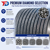 Meules diamantées CBN électrolytiques de 127 mm WM10/30 pour le débavurage des métaux ferreux et le meulage des dents de scies à ruban