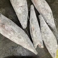 Poisson blanc entier de haute qualité 100% surgelé, poisson gras brut éviscéré et nettoyé de haute mer, IQF, emballé sous vide, exportation de Singapour, fournisseur en gros