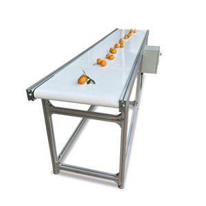 2026 Yeni Gelen Otomatik Gıda Sınıfı Domates Kontrol, Sıralama ve Paketleme Bantlı Konveyör, Küçük İşletme Fikirleri için CE Belgeli - Product Image 2