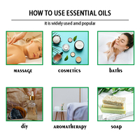 Vente en gros d'huile essentielle d'ail 100% naturelle Teneur en allicine Qualité authentique avec de l'huile de menthe poivrée pour la peau Prix bas