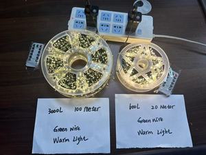 3000 <strong>Led</strong> Green Line Fairy <strong>Lights</strong> 100M Warm Firecracker <strong>Lights</strong> With Timer Twinkle Waterproof <strong>Lights</strong> String <strong>Plug</strong> <strong>in</strong> With Remote - Product Image 6