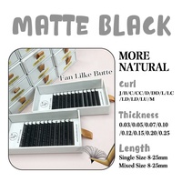 Vente en gros de plateaux de cils synthétiques sibériens professionnels, noir mat, volume C D, fournisseur d'extensions de cils, faits à la main, véganes