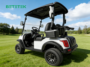 Carrito de Golf Eléctrico Mini de 48V Personalizable, Venta al por Mayor, 2 Plazas, Carrito Eléctrico de Ocio con Opción Personalizada, Buggy de Golf Eléctrico - Product Image 2