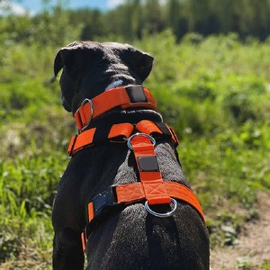 Tactical Dog Harness Custom Personalized Para Perros Nylon Large Tactical Dog Collar and <strong>Leash</strong> No <strong>Pull</strong> Dog Harness - Product Image 6