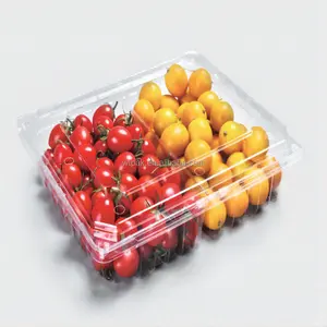 Yeni tasarlanmış 1kg plastik şeffaf meyve ambalaj kapaklı çift cep