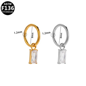 Titanium Pendant <b>Earrings</b> With Zirconia Drop Hoop Studs For Ear Piercing Jewelry ASTM F136 Gold Silver Tone - Product Image 5