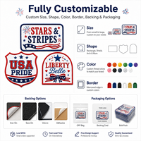 Patch personnalisé à faible MOQ, motif USA Pride, écusson brodé étoiles et rayures, logo patriotique Liberty Belle pour vêtements et chapeaux