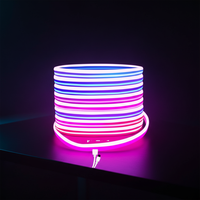 Bande lumineuse LED néon flexible en silicone 24V IP67 étanche RGB multicolore pour la décoration de la maison et de la cuisine