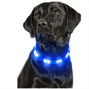 Collier pour chien classique en silicone rechargeable par USB, motif solide, lumineux, LED, fermeture à boucle, plaque personnalisée, promenade nocturne pour animaux de compagnie - Product Image 1