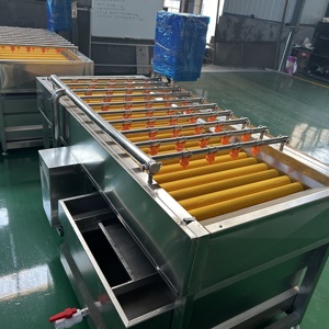 Hiệu Quả Cao Tự Động Công Nghiệp Rau Trái Cây Rửa Dây chuyền Chế Biến Thép Không Gỉ Nhà Ở Điện Lạnh Máy Bơm Nước - Product Image 5