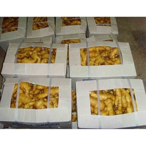 Trung Quốc mới gừng tươi Zingiber bán buôn Trung Quốc gừng Nhà cung cấp giá xuất khẩu cây trồng có cửa hàng, nóng bán Sơn Đông gừng tươi - Product Image 3