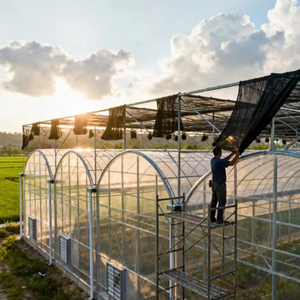 <span class=keywords><strong>Invernadero</strong></span> Multiusos Personalizado de Gran Tamaño, <span class=keywords><strong>Invernadero</strong></span> Agrícola de Polietileno, Precio de Fábrica, <span class=keywords><strong>Invernadero</strong></span> Multiusos de Primera Calidad - Product Image 1