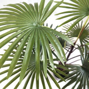 Palmier Kwai Artificiel Réaliste de 90 cm, en Plastique Écologique et Durable, pour Aménagement Paysager et Décoration Intérieure, Aspect Naturel, Faux Palmier - Product Image 3