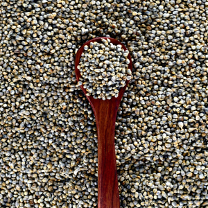 Grains de bajra indiens en gros - Product Image 1