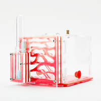 Transparent observable fourmi Eco jardin vivre petit animal Cottage maison fourmi château Eco boîte ferme petit Animal nid fourmi maison