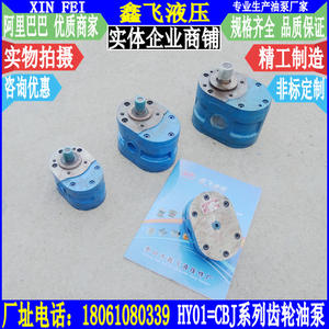 Bomba Hidráulica de Engranajes/Aceite HY01-35X25/HY01-50X25/CBJ-35*25/CBJ-50*25 para Rectificadoras de Superficie - Product Image 1