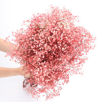 Bunga Baby Breath dekoratif asli yang diawetkan bunga Gypsophila kering grosir