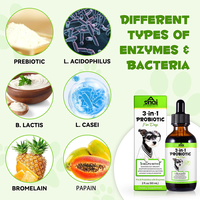 Suppléments liquides probiotiques naturels à base de citrouille pour la digestion et le soutien immunitaire, 60 ml, sans danger pour les chats et les chiens, directement de l'usine