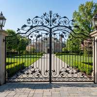 Conceptions de porte principale de jardin en fer forgé Portes en fer battantes et coulissantes en fer forgé Portes d'allée de sécurité pour maison cour jardin