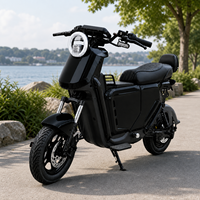 Motocicleta Eléctrica para Adultos, Motor de 1200W, Ruedas de 14 Pulgadas, Velocidad Máxima de 55 km/h, Autonomía de hasta 140 km, Scooter para Entregas Urbanas